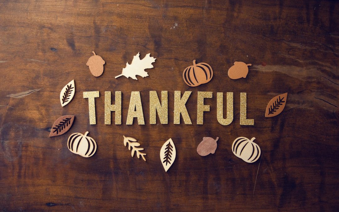 3 Things to be Thankful for in Email Marketing This Year